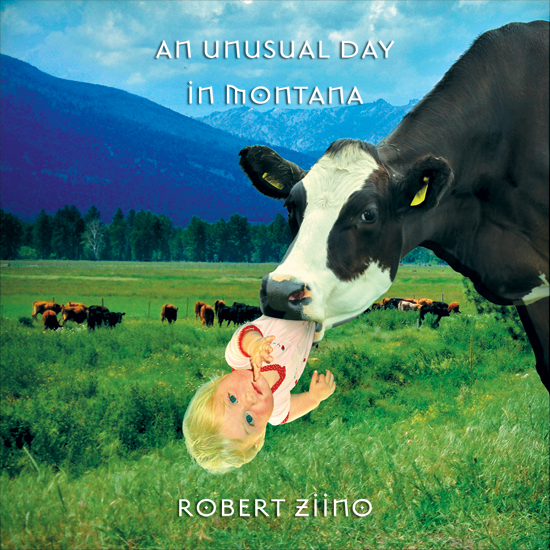 An Unusual Day in Montana Cover