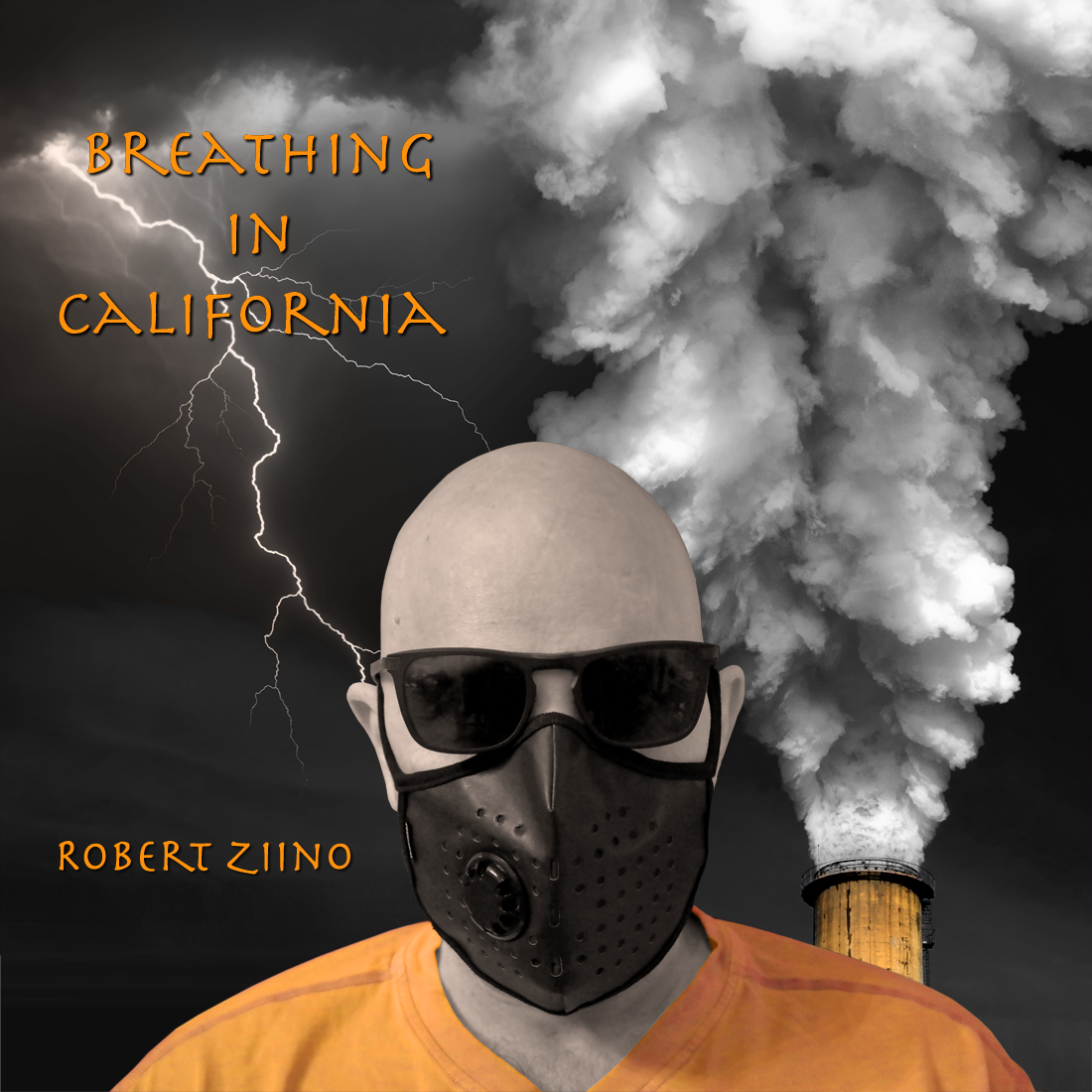 Breathing in California Cover