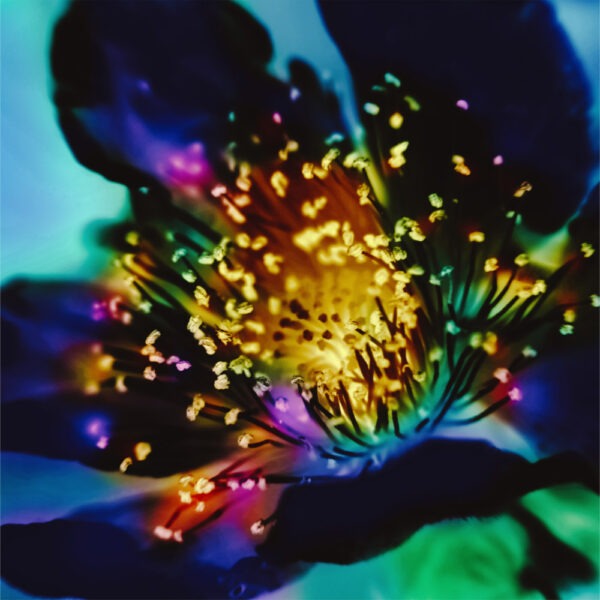 Experimental Photography