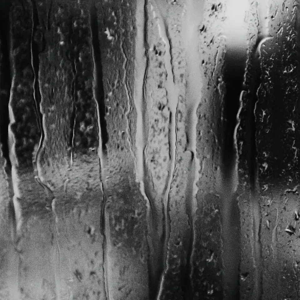 Window Rain