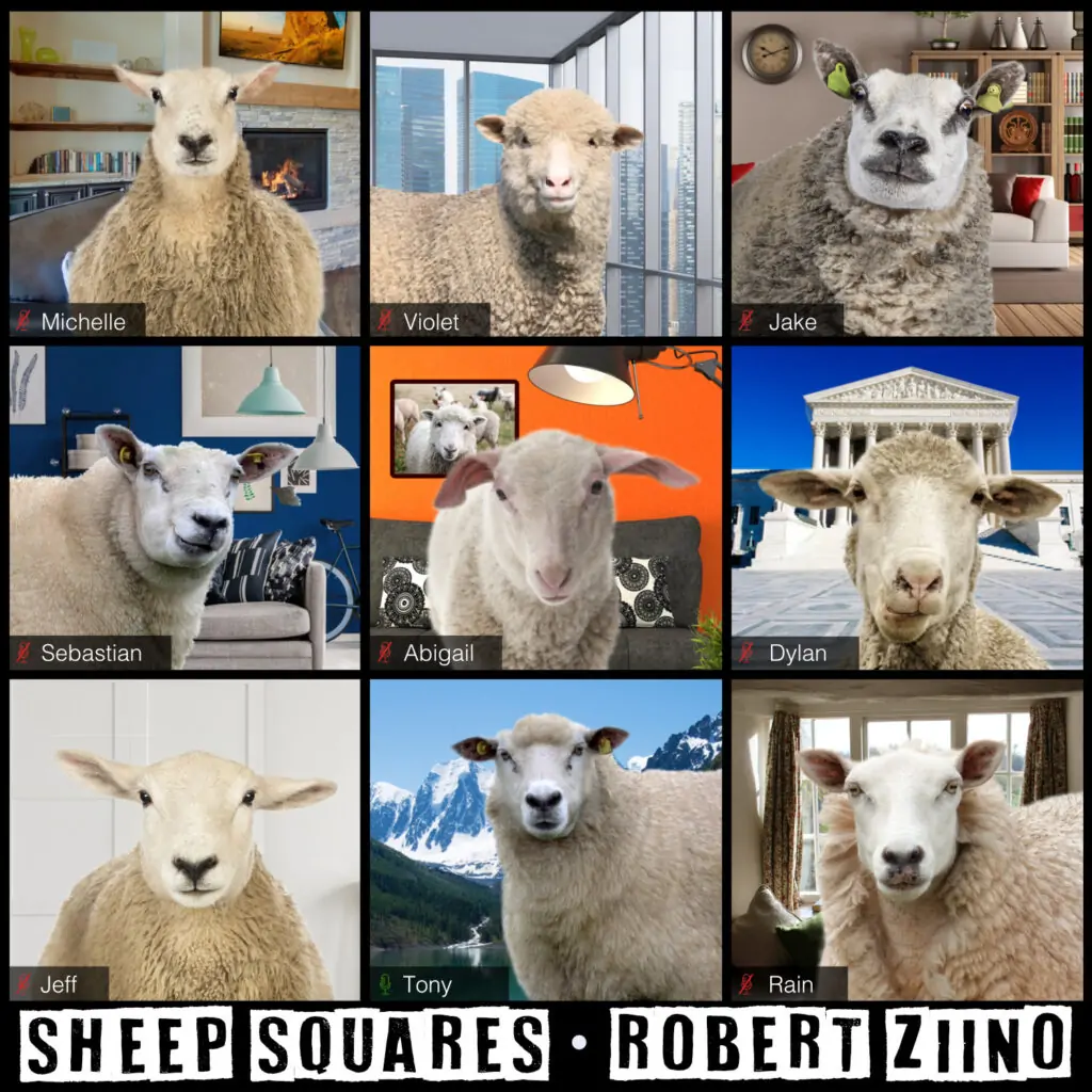 Sheep Squares