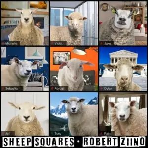 Sheep Squares