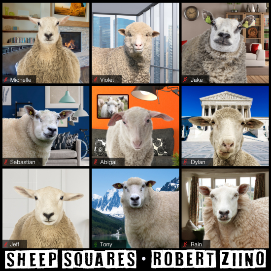 Sheep Squares